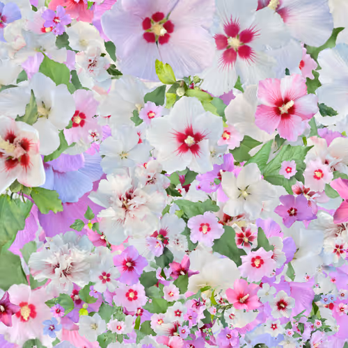 Item #57079712582191126887516961639482112914535436253999342571416194868218548977665 Media