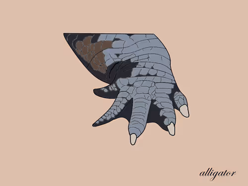 Item #24843950328459654647592333095373915695654115129450378637534312998035599130625 Media