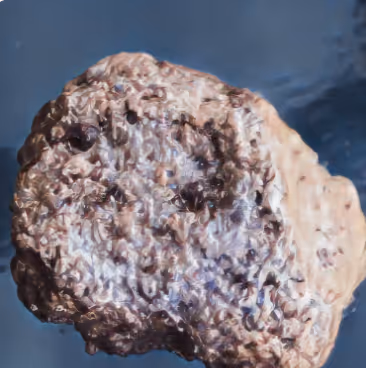 Item #77596567191873610386222770782979105496131821619003157492872805559018425679873 Media