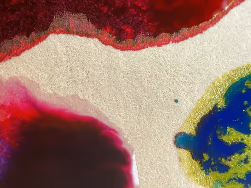 Item #101798116254510798330486236990451841615541533753866395116378150759783716618241 Media