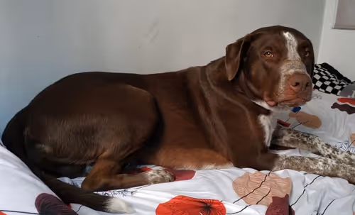 Item #20528117646410856904890385636621101449047837972353009238282762002519455432705 Media