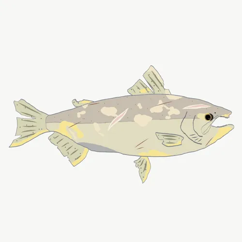 Item #1884391122872079971647335474852499061260200462893500442794211203286841688065 Media