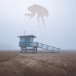 Insidious Sands
