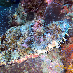 80965803268169370603932631570667161375508893671094224909166964311830388801537