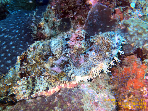 Item #80965803268169370603932631570667161375508893671094224909166964311830388801537 Media