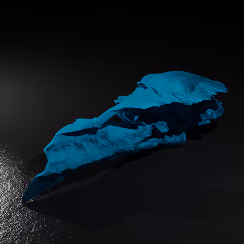 Item #20250001323464517401306315509532802406644919304029953922967480007100987342849 Media