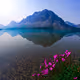 Moments of Tranquil