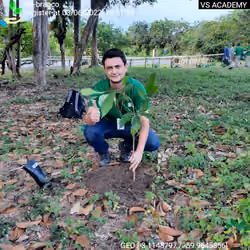 Ipê-branco - Plant Certificate #852