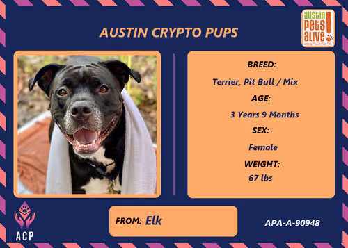 Item #17951378556605612276483806045649535824451571419947225201384628585418780049409 Media