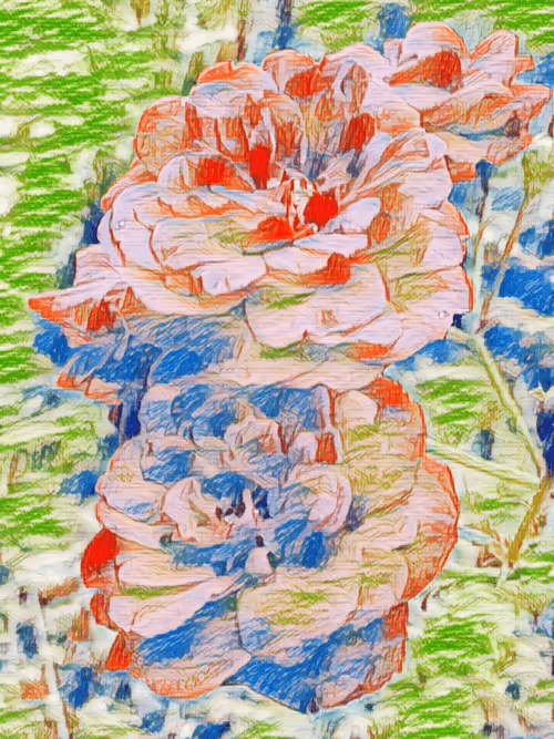 Item #69261177602478584146078213691104273677815526894191982293268527723201953792001 Media