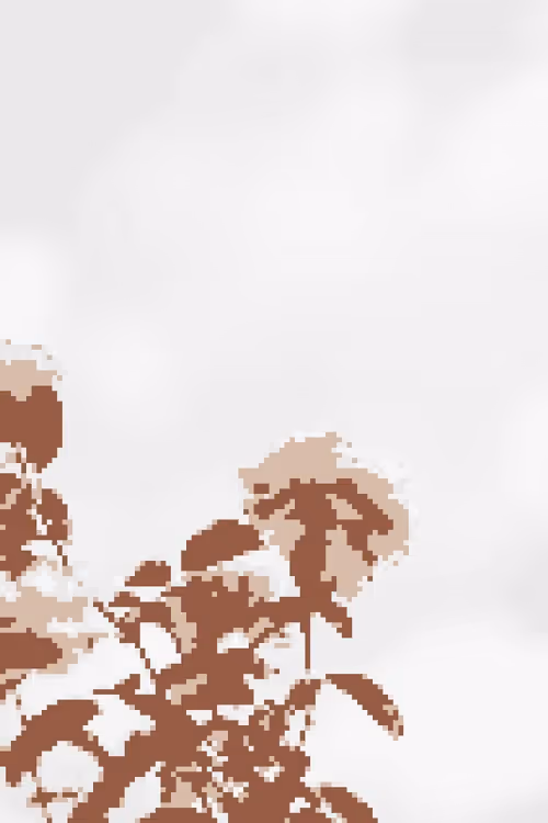 Reach