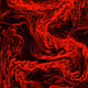 26239904088310344667008050005468380558081957516264046679008739073523187712001