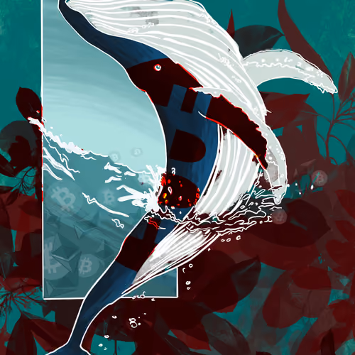 KWHALE Distortion