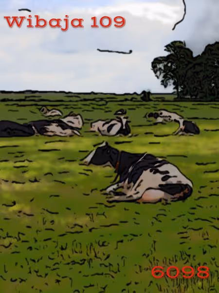 Item #106168068867162485094593885732241547229015412580842941571810197557139482869761 Media