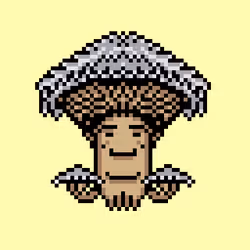 "Splitgill Mushroom" Schizophyllum Commune 