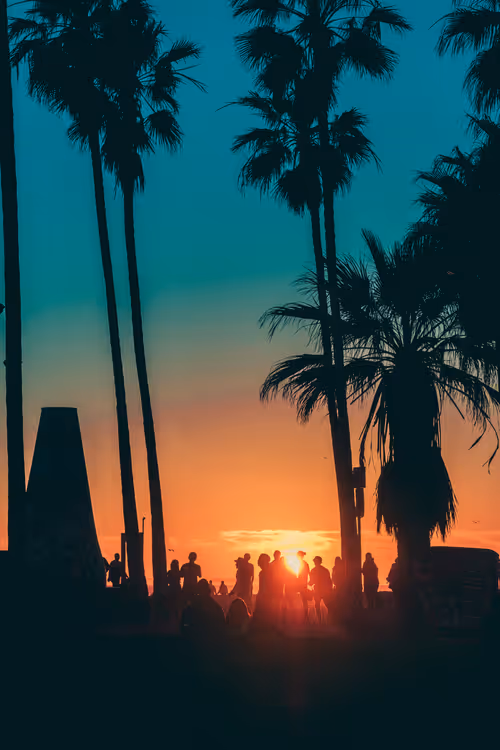 Somewhere Else: 076 - Ceremony of Palms