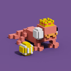 Gecko #992