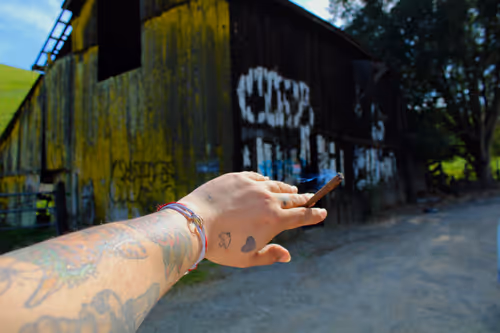 Item #73450565912043107582986494108342994017414102752882869276726541253550062698497 Media