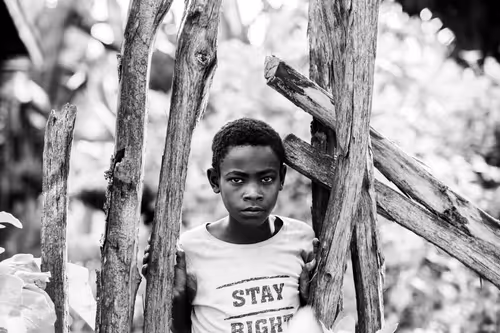 Item #50027882237522295676960542276708360859068113986169674979910834006460771336193 Media