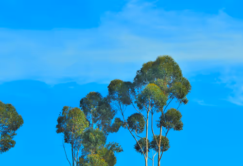 Item #84029125642455646751627882964449646871643598257410714142822988238706767298561 Media