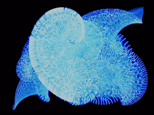 Item #45731211464929816441170859700976373292149702980452148839612469052362679386113 Media