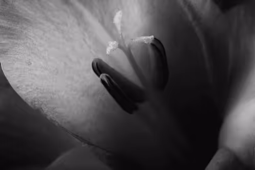 Abstract_frames Collection