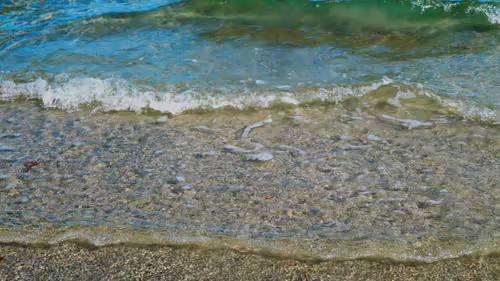 Item #90989002574259779699628544146033924085184730772838588916455612623237372968961 Media