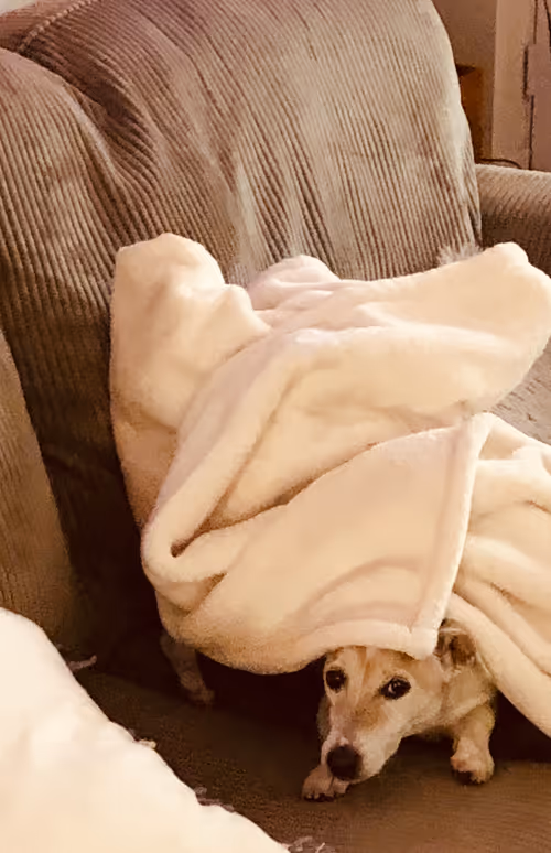 Item #5985210497355107417265215381210579199842884272282595265964883399015818854401 Media