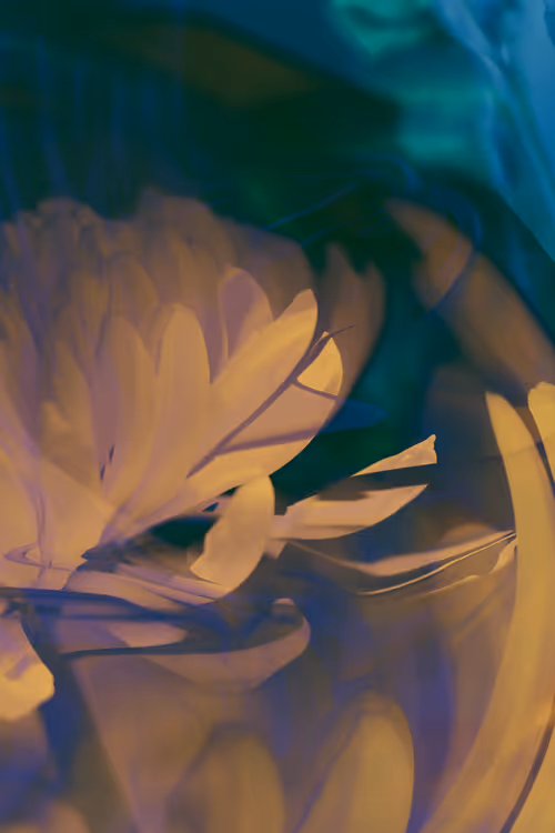 Item #98647933825971538167014356708832577938829494808882293034315128156201492152321 Media