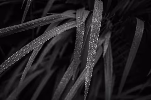 Item #73759399990209516888304032698275326364251253030870503334938121147124339965953 Media