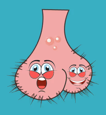 Item #22793047471806318065020766672709763262679883798276267629942525632664131600385 Media