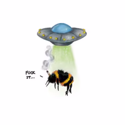 Bee Abducted #1/5