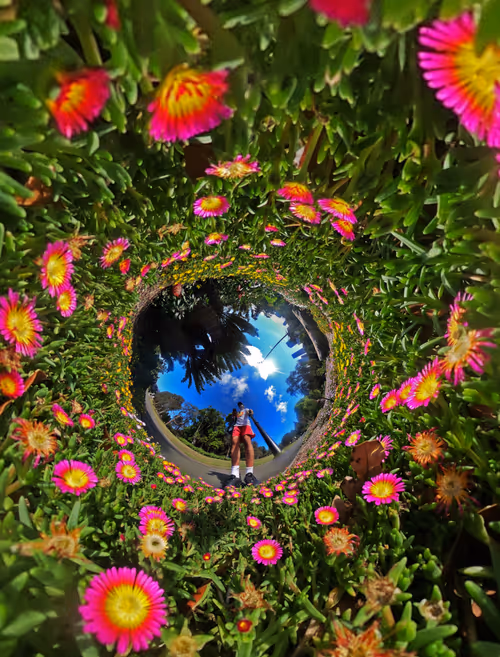 Item #6543125285758794139519418366552479585360659536622126303737984894634452582401 Media