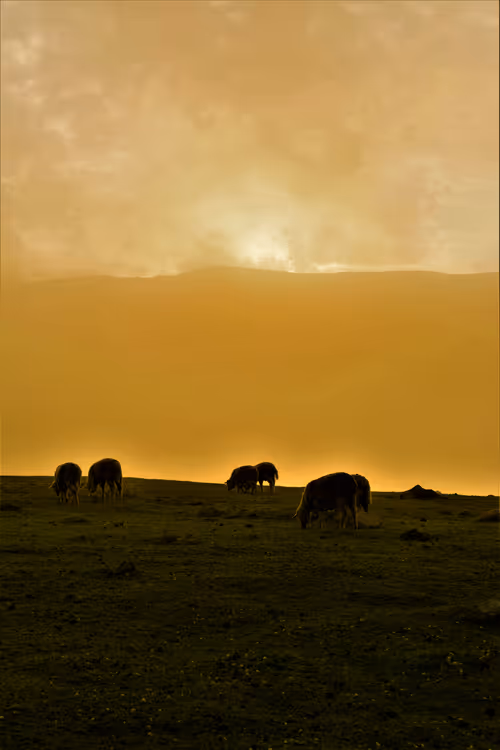 Item #106096322599603620341222276342369033024048943291878962669270680790624209207297 Media