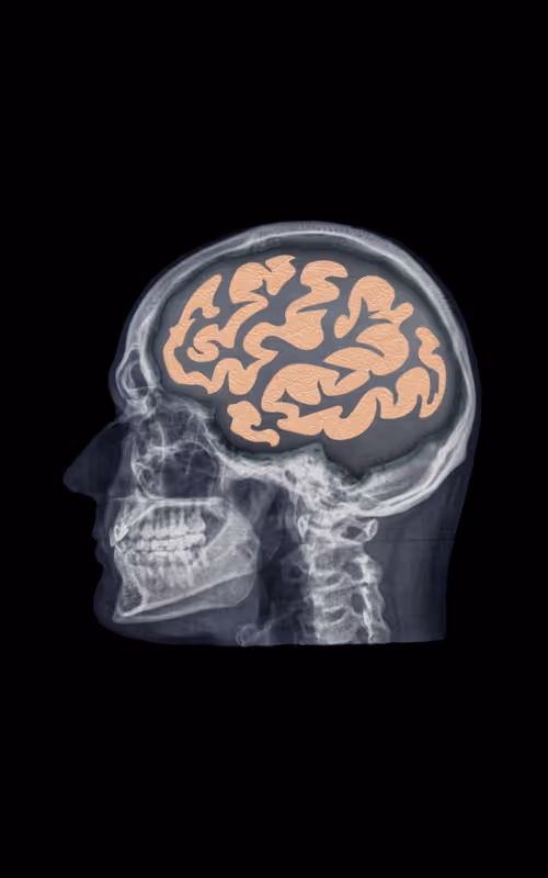 Item #24230885534779484670501703553684953274983737514794072512407783989553164976138 Media