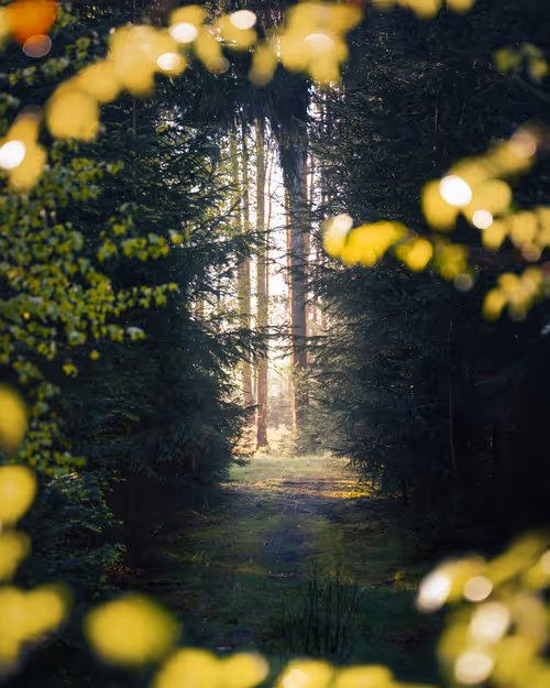 Item #59404681870809906448390957325299961742928436828892721220786848781413916868609 Media