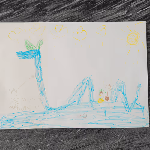 CryptoGroodle Collection