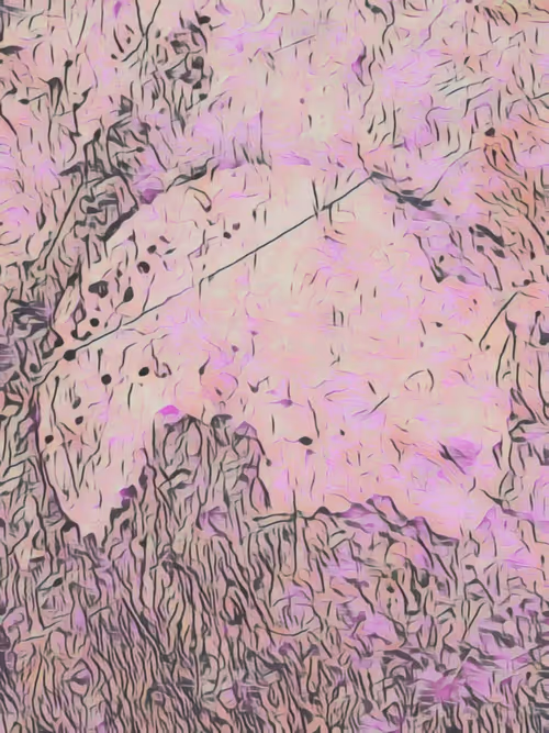 Item #33489201772139454524030938762040669258263543807464770779456338473285345869829 Media