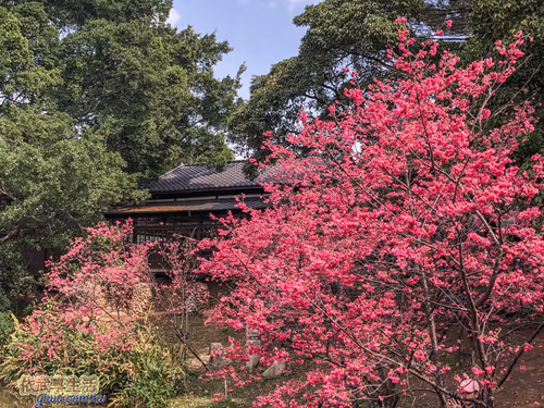 Item #100744422725674417057824683306763013505668843176654858816283483936230559711233 Media