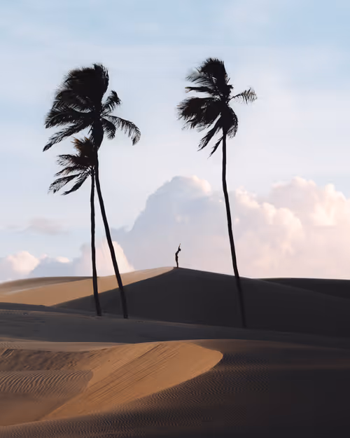 Item #1681200608944986882710212351087985927498901891912841592381619092451204530177 Media