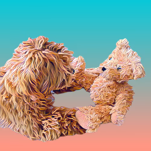 Metaversemaltipoo