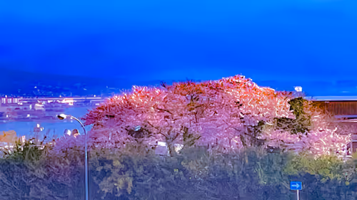 Item #26309083901545567454709889211670292098627789932924015051489478891005703880709 Media