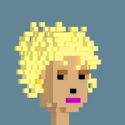 3DVoxelPunk 407