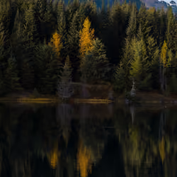 Fall