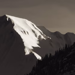 Yaute Alpes #8