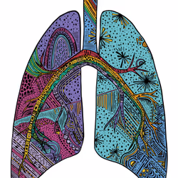 28824502245252267217549902857601847351510039266873569823091148349245388488705