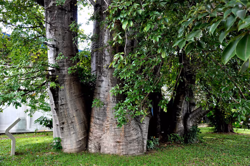 Item #79891436161549541429884862344900251113171213125295126698961100638367126650881 Media