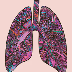 28824502245252267217549902857601847351510039266873569823091148466893132660737