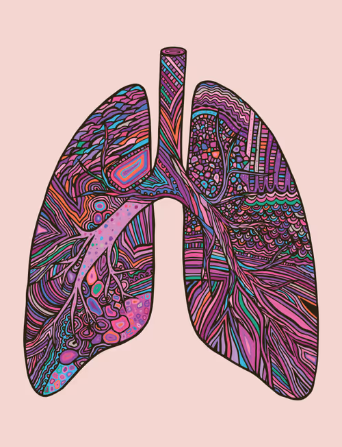 Item #28824502245252267217549902857601847351510039266873569823091148466893132660737 Media