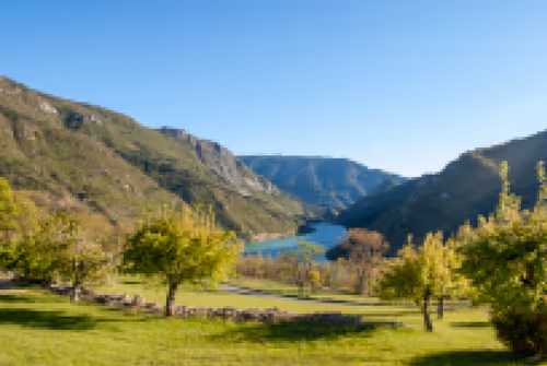 Item #11780915356901891937150191052604117223978980698243640119023280877272983142401 Media